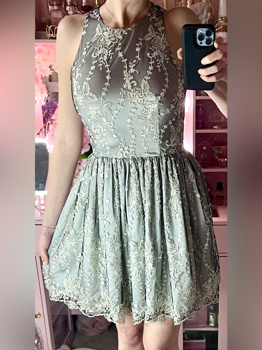 Bebe Silver Embroidered Lace Fit & Flare Dress | Open Back Cocktail Mini Dress